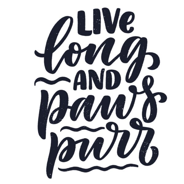 Live Long and Paws Purr Thumbnail