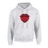 GILDAN Heavy Blend™ Unisex Hooded Sweatshirt Thumbnail