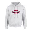 GILDAN Heavy Blend™ Unisex Hooded Sweatshirt Thumbnail