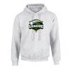 GILDAN Heavy Blend™ Unisex Hooded Sweatshirt Thumbnail