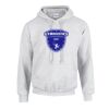 GILDAN Heavy Blend™ Unisex Hooded Sweatshirt Thumbnail